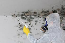 Best Comprehensive Air Testing for Mold Contaminants  in Passaic, NJ